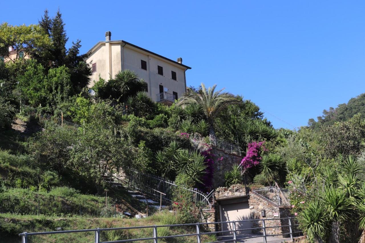 Antico Lavatoio Hotel Luni Exterior photo